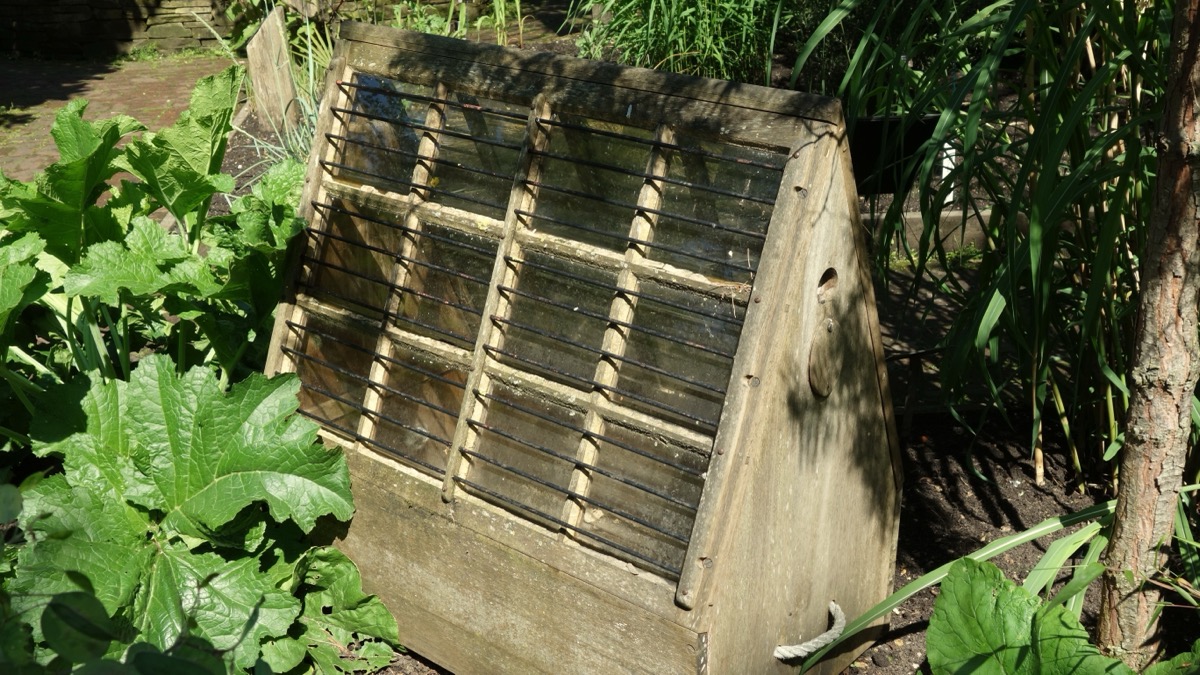 Drewniana skrzynka Warda ze szklanym pochyłym wiekiem wśród roślin w Chelsea Physic Garden w Londynie